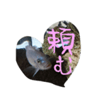 元気系しげるです。（個別スタンプ：10）