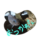 元気系しげるです。（個別スタンプ：14）