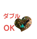 bouldering life（個別スタンプ：5）