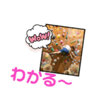 bouldering life（個別スタンプ：20）