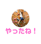 bouldering life（個別スタンプ：22）