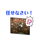 bouldering life（個別スタンプ：24）