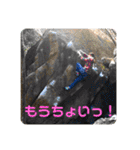 bouldering life（個別スタンプ：34）