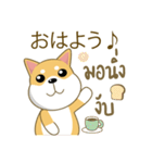 柴犬（ピーリュウ）（個別スタンプ：1）