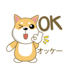 柴犬（ピーリュウ）（個別スタンプ：2）