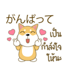 柴犬（ピーリュウ）（個別スタンプ：6）