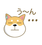 柴犬（ピーリュウ）（個別スタンプ：8）