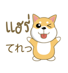 柴犬（ピーリュウ）（個別スタンプ：10）