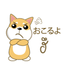 柴犬（ピーリュウ）（個別スタンプ：15）