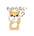 柴犬（ピーリュウ）（個別スタンプ：25）