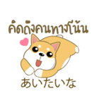 柴犬（ピーリュウ）（個別スタンプ：30）