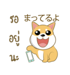 柴犬（ピーリュウ）（個別スタンプ：40）