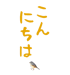 BIGな文字に小さな生き物！ほほえみフレンズ（個別スタンプ：4）