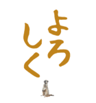 BIGな文字に小さな生き物！ほほえみフレンズ（個別スタンプ：12）