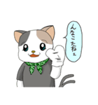 ミケさんLINEスタンプ【私生活編】（個別スタンプ：3）