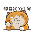 ランラン猫 20 (台湾版)（個別スタンプ：9）