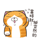 ランラン猫 20 (台湾版)（個別スタンプ：20）