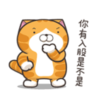ランラン猫 20 (台湾版)（個別スタンプ：28）
