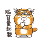 ランラン猫 20 (台湾版)（個別スタンプ：29）