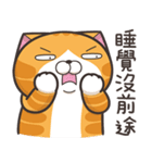 ランラン猫 20 (台湾版)（個別スタンプ：34）