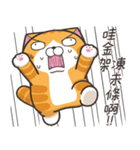 ランラン猫 20 (台湾版)（個別スタンプ：38）