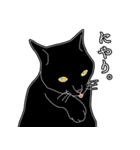 黒猫ジジの日常会話（個別スタンプ：14）