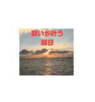 海の気分（個別スタンプ：4）