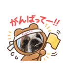 お洒落なべ〜ちゃん＆やんちゃなパジー☆2（個別スタンプ：15）