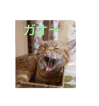プリンちゃんとマロンちゃん秋（個別スタンプ：4）