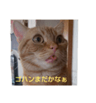 プリンちゃんとマロンちゃん秋（個別スタンプ：6）