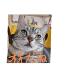 プリンちゃんとマロンちゃん秋（個別スタンプ：8）