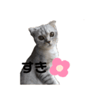 キキ39"日本語"（個別スタンプ：2）