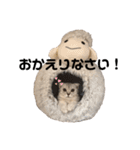 キキ39"日本語"（個別スタンプ：4）