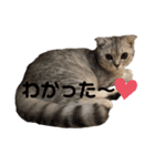 キキ39"日本語"（個別スタンプ：6）