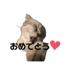 キキ39"日本語"（個別スタンプ：9）