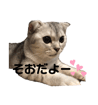 キキ39"日本語"（個別スタンプ：12）