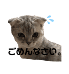 キキ39"日本語"（個別スタンプ：13）