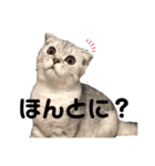 キキ39"日本語"（個別スタンプ：18）