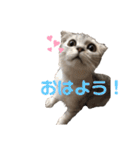 キキ39"日本語"（個別スタンプ：22）