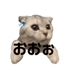キキ39"日本語"（個別スタンプ：26）