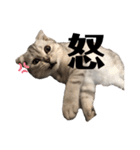 キキ39"日本語"（個別スタンプ：39）
