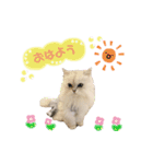 ねこカフェなる vol.2（個別スタンプ：3）