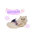 ねこカフェなる vol.2（個別スタンプ：6）