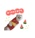ねこカフェなる vol.2（個別スタンプ：7）