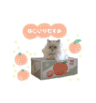 ねこカフェなる vol.2（個別スタンプ：10）