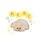 ねこカフェなる vol.2（個別スタンプ：12）