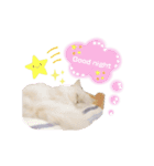 ねこカフェなる vol.2（個別スタンプ：14）