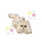 ねこカフェなる vol.2（個別スタンプ：15）
