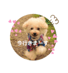 すばこのスタンプ（個別スタンプ：4）