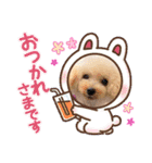 すばこのスタンプ（個別スタンプ：8）